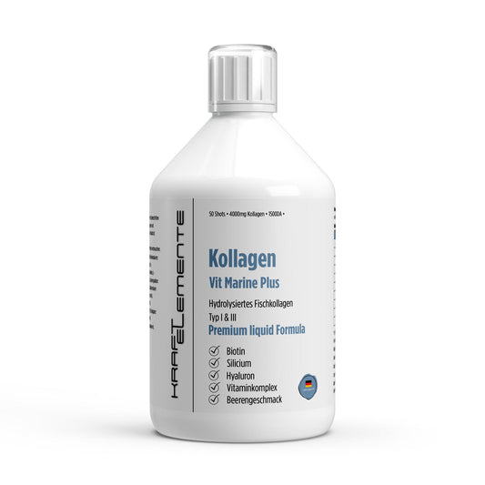 Hydrolysiertes Fischkollagen Typ 1 und 3 von Kraftelemente